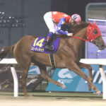 南関最強牝馬スピーディキック6着と大健闘
