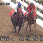 【フェブラリーステークス2023】追い切り/抜群の動きを見せたのは