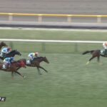 【ダイヤモンドステークス2023】出走予定馬・騎手/輝く場所で