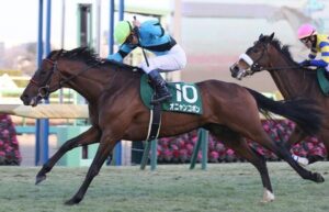 【悲報】みんなの愛馬オニャンコポン東京新聞杯除外