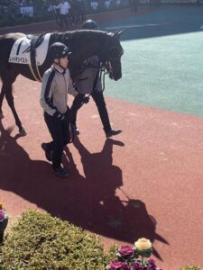 レッドテンペスト、パドック登場