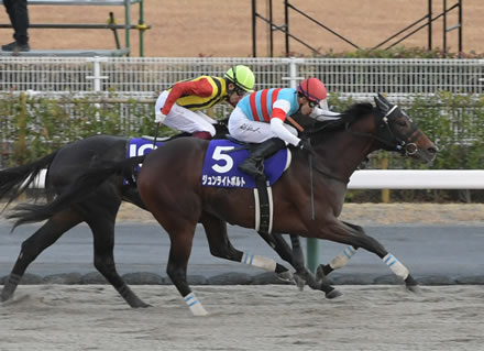 ジュンライトボルト、鞍上ムーアでサウジカップ