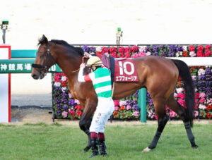 【悲報】エフフォーリア電撃引退