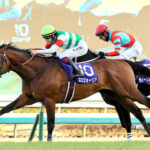 エフフォーリア 心房細動競走中止→電撃引退→種牡馬入り