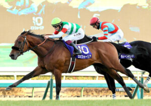 エフフォーリア 心房細動競走中止→電撃引退→種牡馬入り