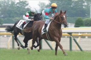 【競馬】新種牡馬サリオス、種付け料150万円で速攻で満口
