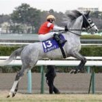 【競馬・中山記念】シュネルマイスター手塚師「昨年はスランプで成績が伴わなかった。こっちもG1馬。格負けはしないよ」
