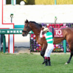 ラストランが競争中止の馬でエフフォーリア以外に名のある馬といえば?