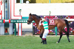 ラストランが競争中止の馬でエフフォーリア以外に名のある馬といえば？