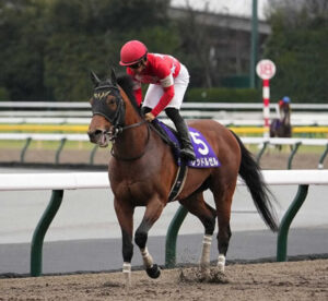 【フェブラリーS】レッドルゼル上がり最速で2着