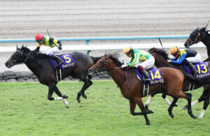 歴代最弱の菊花賞2着