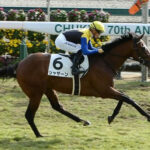 【悲報】すみれステークス(L)登録6頭