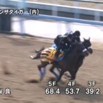 【共同通信杯2023】追い切り/動きを見極め勝利に近づけ