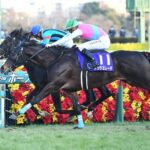 ホープフル覇者ドゥラエレーデは次走ドバイUAEダービーwww