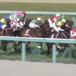 【競馬】京都記念 競争中止のエフフォーリアは心房細動だった