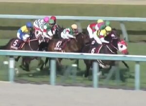 【競馬】京都記念　競争中止のエフフォーリアは心房細動だった