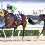 【競馬予想】第72回 川崎記念(JpnⅠ) /2023
