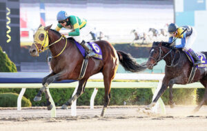 【競馬予想】第72回 川崎記念(JpnⅠ) /2023