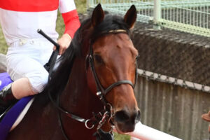 ダノンザキッドが２度目のゲート再審査処分 ドバイ遠征が不可能に