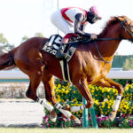 【競馬予想】第73回ダイヤモンドステークス(GIII) /2023