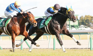 【きさらぎ賞】断然1番人気フリームファクシが人気に応えV！３連勝で重賞初制覇
