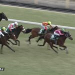 【共同通信杯2023】結果・動画/ファントムシーフが力強く抜け出す