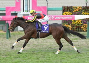 リバティアイランドの牝馬三冠が確定!?