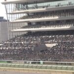【競馬・中山記念】シュネルマイスター終了のお知らせ