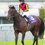 【中山記念】シュネルマイスター終了のお知らせ