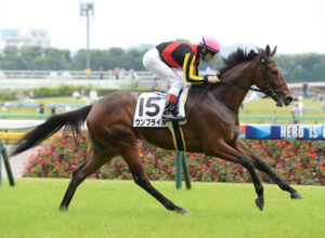 【クイーンC】1番人気ウンブライルとは何だったのか