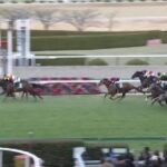 【競馬】阪急杯は横山和騎乗のアグリがV