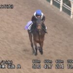 【クイーンカップ2023】追い切り/調教を見てわかる事