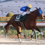 レモンポップ 坂井と新コンビでフェブラリーSへ