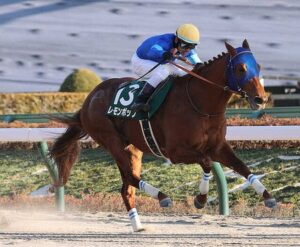 レモンポップ　坂井と新コンビでフェブラリーSへ