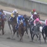 【競馬・フェブラリーS】坂井瑠星のせいで戸崎のど下手っぷりがあらわにされた!