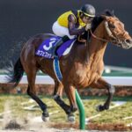 フェブラリーSがこの先生きのこるには?