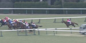 【競馬・フェブラリーS】大出遅れメイショウハリオ強すぎワロタｗｗｗｗｗｗｗｗｗｗｗｗｗｗ