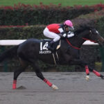 【競馬予想】[2]第40回フェブラリーステークス(GⅠ) /2023