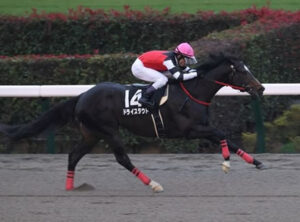 【競馬予想】[2]第40回フェブラリーステークス(GⅠ) /2023