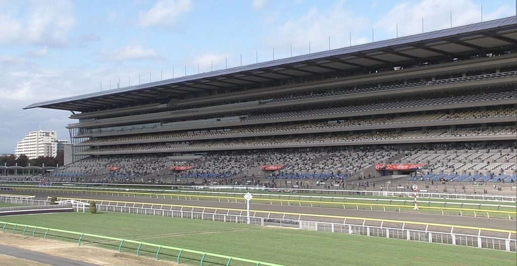 【競馬】ダノンザキッドがドバイターフ参戦不可能に・・・2度目のゲート再審査処分で1か月の出走停止となる