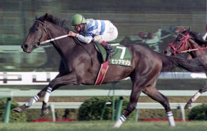 もしヒシアマゾンが今の時代にいたら