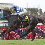 【マーガレットS】ビッグシーザー4連勝強すぎwwww