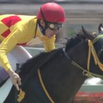 【競馬】田原「デムーロ下手くそすぎ。そんなんだからルメールと差ができる」
