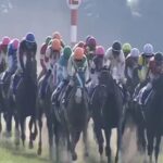 【競馬】騎手が乗ったシルヴァーソニック強すぎワロタwwwwwwwwwwwwwww