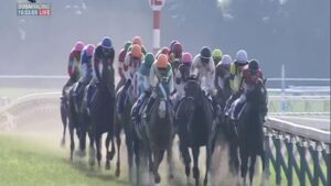 【競馬】騎手が乗ったシルヴァーソニック強すぎワロタｗｗｗｗｗｗｗｗｗｗｗｗｗｗｗ