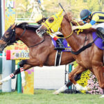 阪神大賞典から始動ボルドグフーシュは川田と新コンビ
