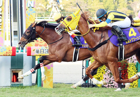 阪神大賞典から始動ボルドグフーシュは川田と新コンビ