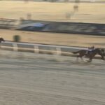 【川崎記念2023】結果・動画/ウシュバテソーロが抜け出し快勝