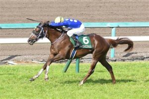 【訃報】タイセイビジョン放牧先で死亡