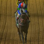 【サウジカップ】パンサラッサが逃げ切ってサウジカップ制覇!日本馬初の快挙!